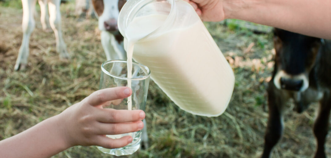 4 Benefits of Raw Milk Raw Milk Dairy Products | Blessings Ranch in Tomball, Texas brings you access to raw A2 Jersey Cow Milk available for local pickup every week!