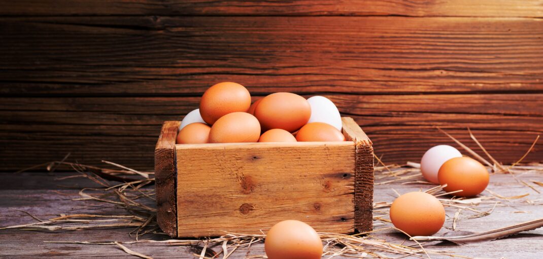 4 Benefits to Buying Farm Fresh Eggs | Tomball, TX Ranch | Blessings Ranch
