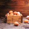 4 Benefits to Buying Farm Fresh Eggs | Tomball, TX Ranch | Blessings Ranch