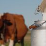 rass-Fed Beef and Raw Dairy
