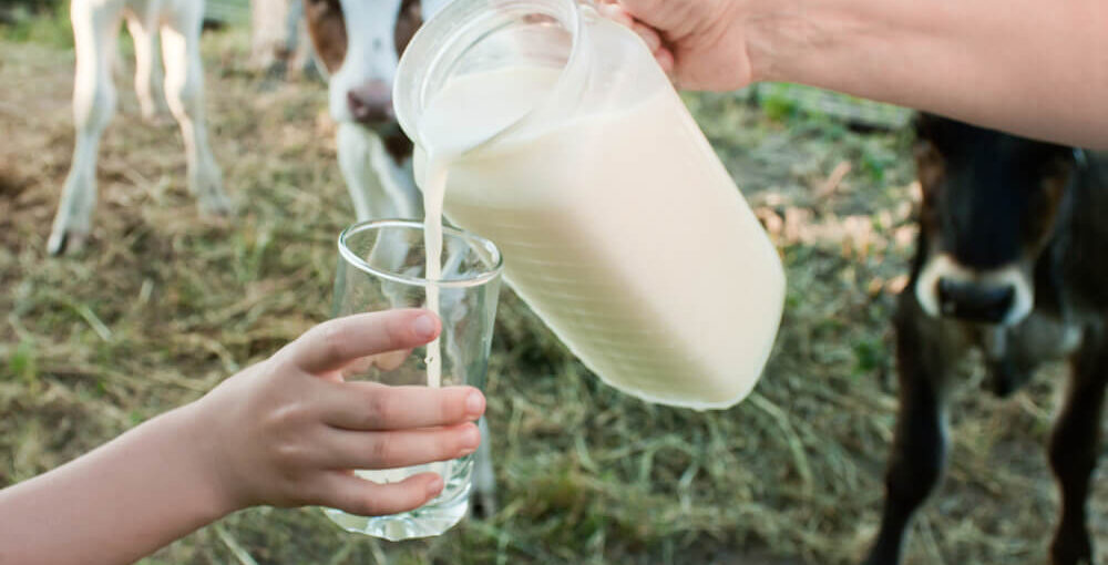 Raw Milk Nutritional Benefits & Sourcing Safely