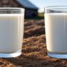 Raw Milk vs Pasteurized Milk which is Better for You.