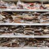 Vacuum-sealed cuts of beef stacked in a freezer, showing bulk meat storage and organization