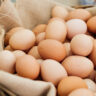 eggs