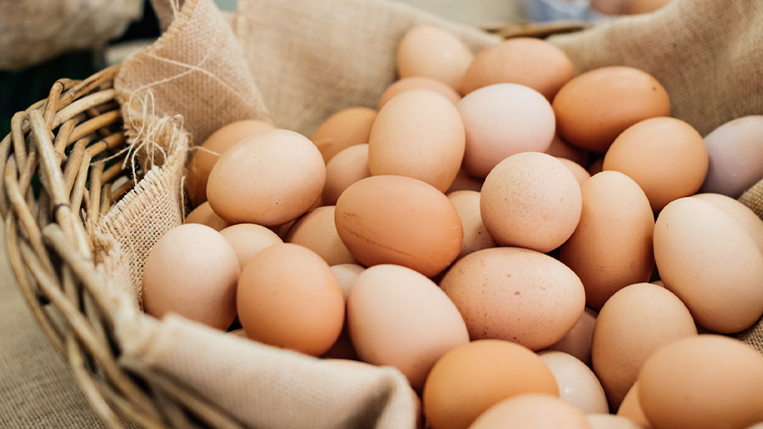 eggs