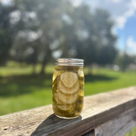 Parker Pickles
